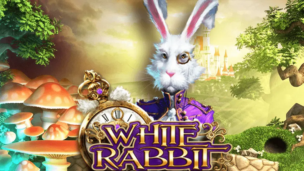 White Rabbit